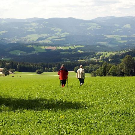 Wildwiesenhof Miesenbach  Eksteriør bilde