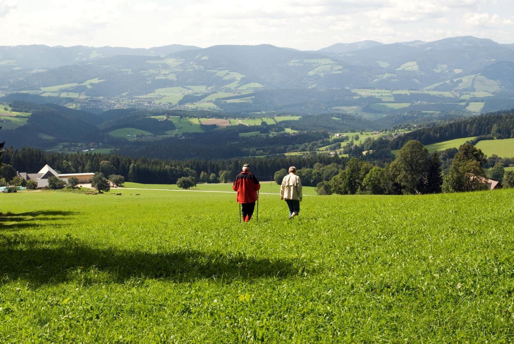 Wildwiesenhof Miesenbach  Eksteriør bilde