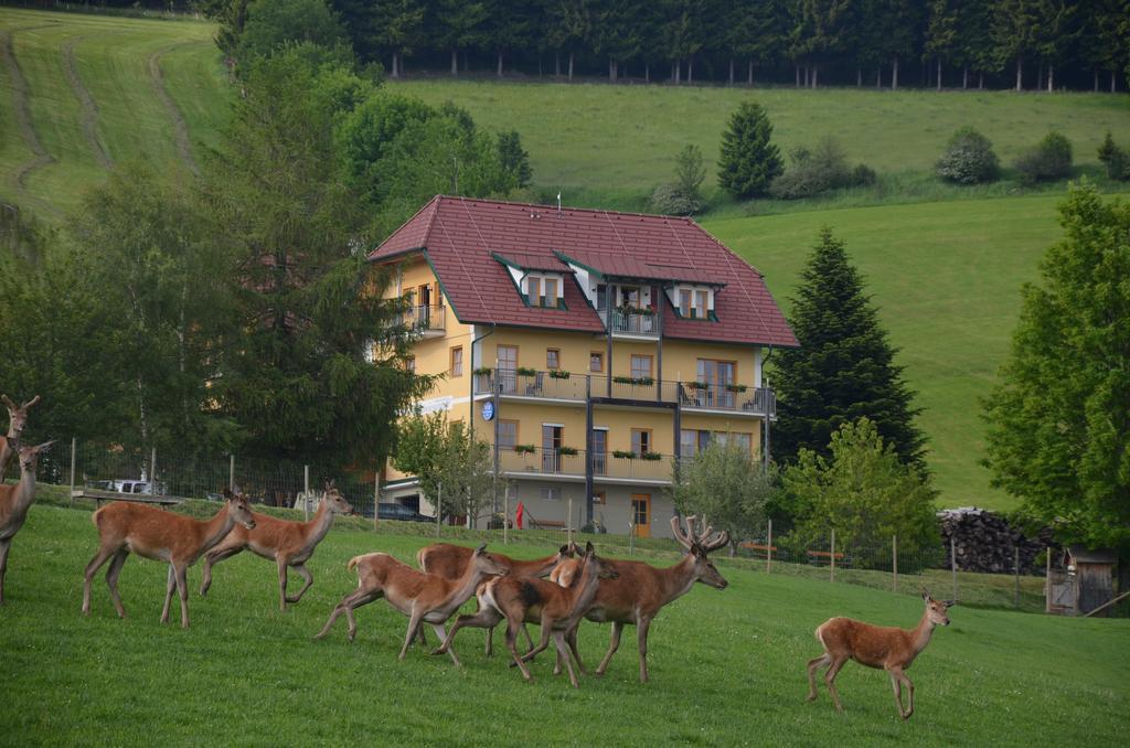 Wildwiesenhof Miesenbach  Eksteriør bilde