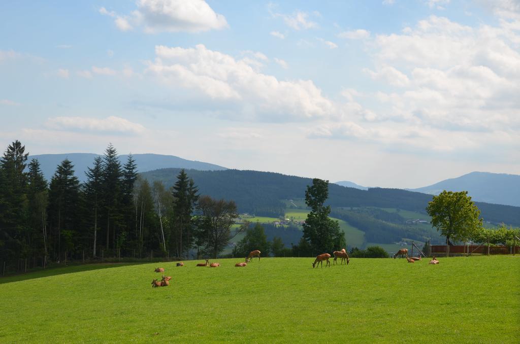 Wildwiesenhof Miesenbach  Eksteriør bilde