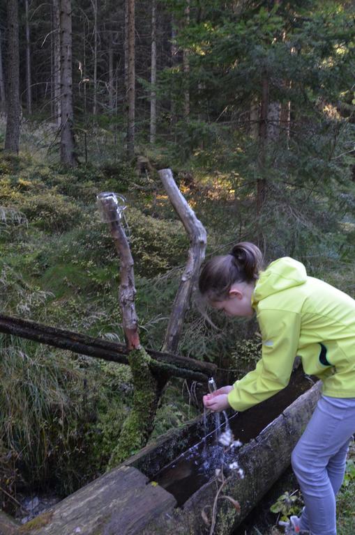 Wildwiesenhof Miesenbach  Eksteriør bilde